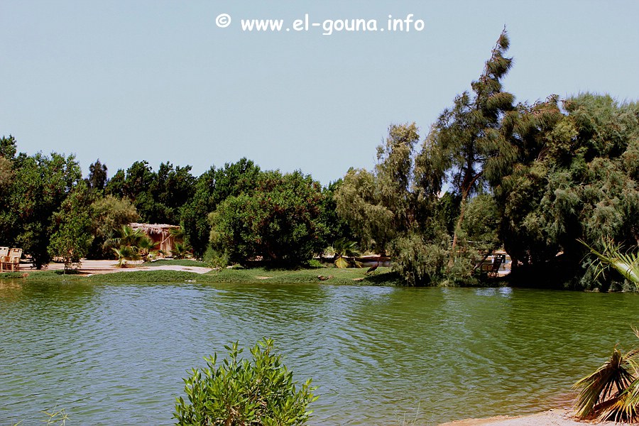 El Gouna Fishfarm 3632